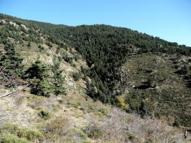 photo coins arrondis